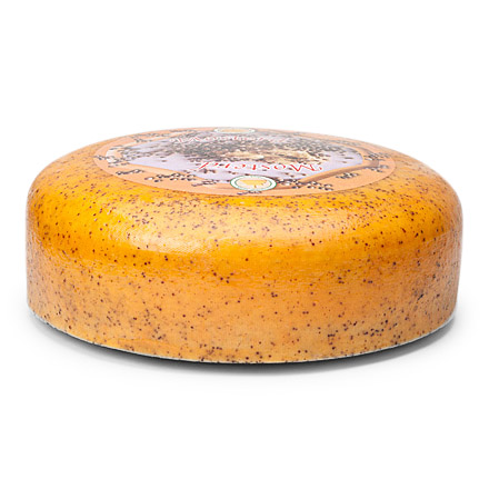 10kg Mosterdkaas 48+
