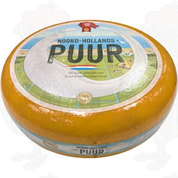 Belegen Noord-Hollandse Gouda met het Rode Zegel | Hele kaas 13 kilo