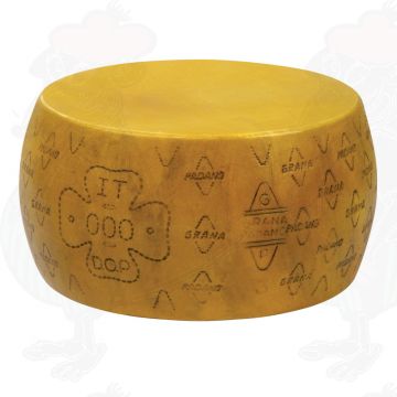 Kaasdummy Grana Padano PDO