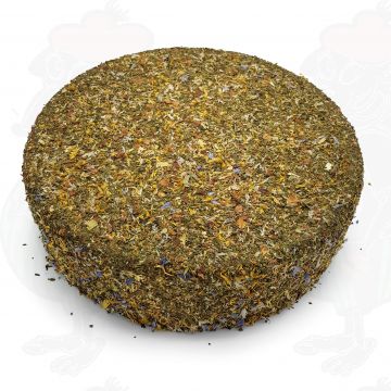 Hooibloem kaas | Hele kaas 11 kilo