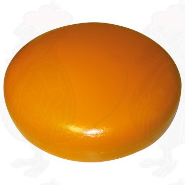 Kaasdummy Gouda (model) - donker geel, 16kg
