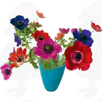 Anemonen blauw Raamsticker - Flat Flower - 30 x 37 cm