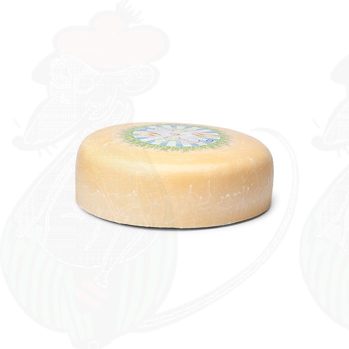 Jong Belegen Biologische Kaas | Extra Kwaliteit | Hele kaas 7,5 kilo main product photo