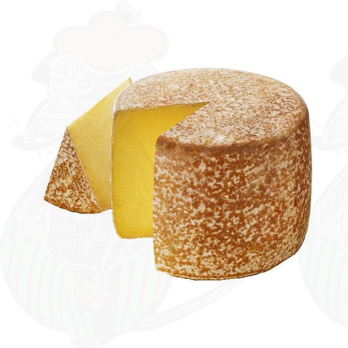 Cantal AOP / AOC Kaas main product photo