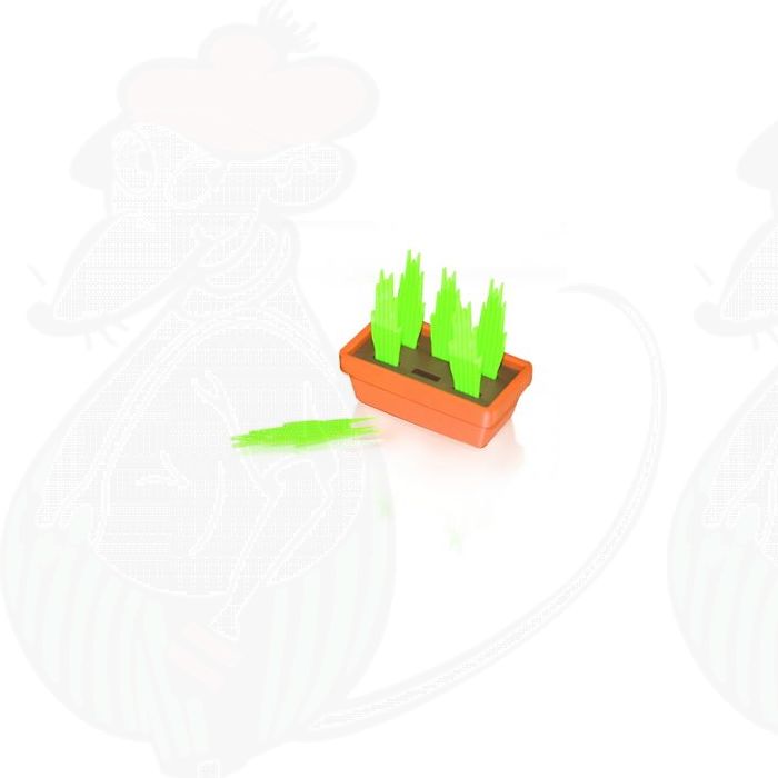 Kaas Gras Party Picks main product photo