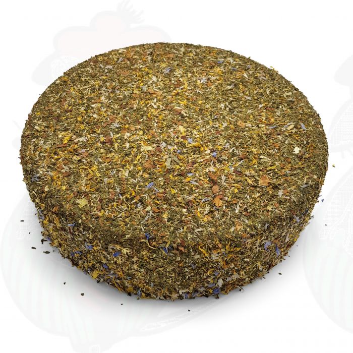 Hooibloem kaas | Hele kaas 11 kilo main product photo