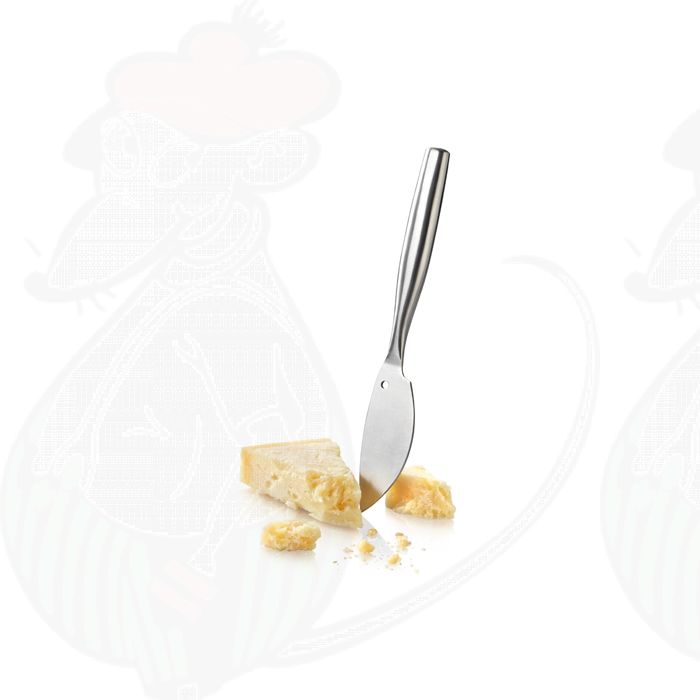 Parmesanmes De Luxe RVS main product photo