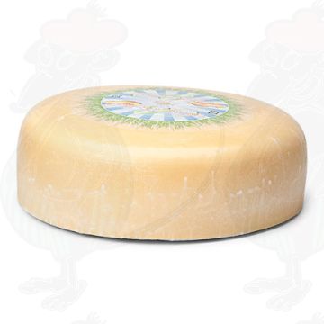 Jong Belegen Biologische Kaas | Hele kaas 5,4 kilo
