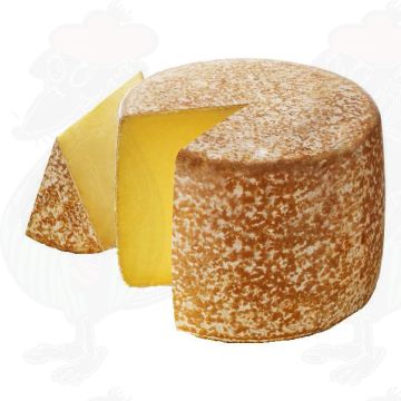 Cantal AOP / AOC Kaas