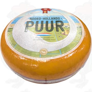 Extra Belegen Noord-Hollandse Gouda met het Rode Zegel | Hele kaas 12 kilo