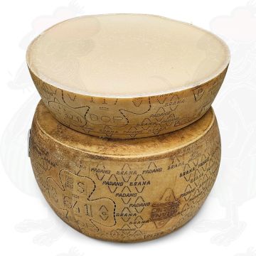 Grana Padano PDO Kaas | 20 kg - Halve kaas - Schaal