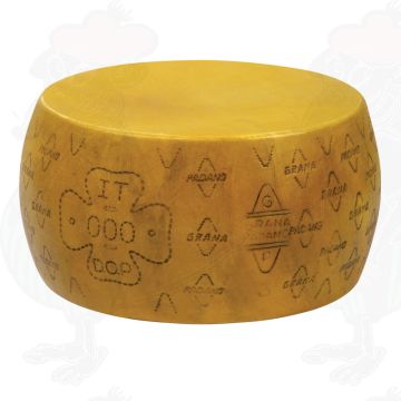Kaasdummy Grana Padano PDO