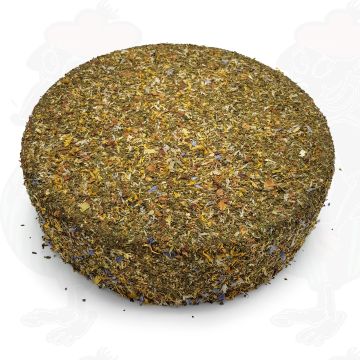 Hooibloem kaas | Hele kaas 11 kilo