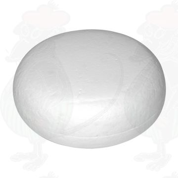 Kaasdummy Gouda (model) Geit, 4kg