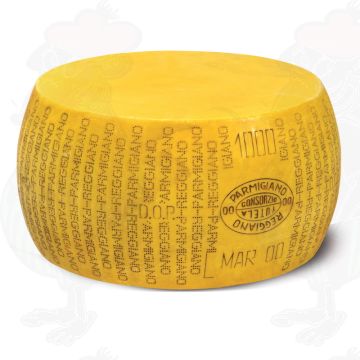 Kaasdummy Parmesan Reggiano