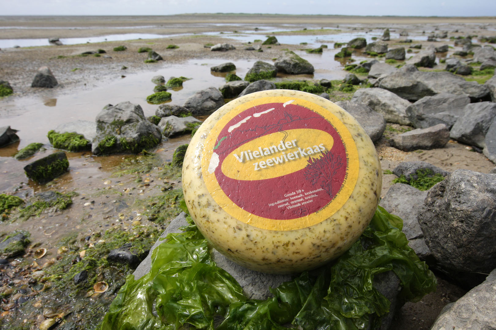 Vlielander Zeewierkaas (bio)